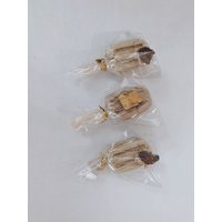 Mystery Popsicle |Bunny Leckerli von FloppyBuntique