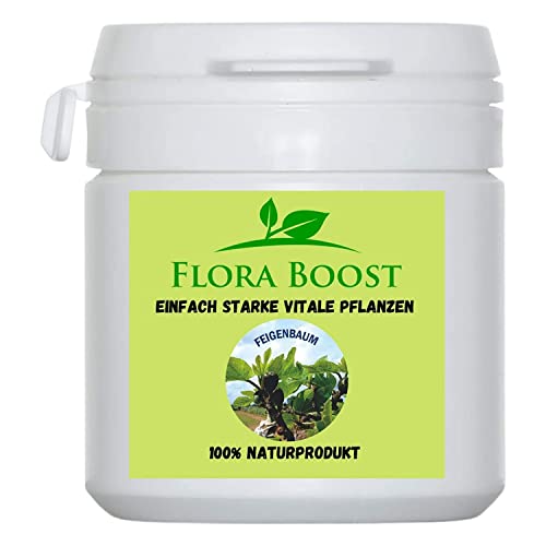 Flora Boost Feigenbaum Dünger Flora Boost 100g I Für bis zu 100L Gießwasser I Dünger in Pulverform I Für Feigen Bäume & Sträucher I Blatt- & Wurzeldünger I 100% natürlicher Pflanzendünger von Flora Boost