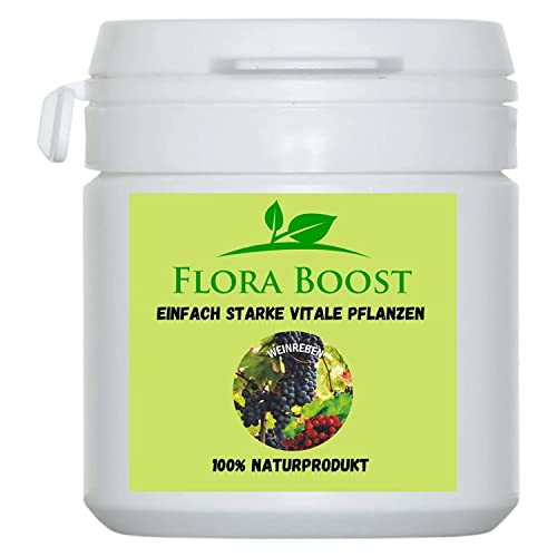 Flora Boost Weinreben Dünger Flora Boost 100g I Für bis zu 100L Gießwasser I Dünger in Pulverform I Mit Sofort- & Langzeitwirkung I Blatt- & Wurzeldünger I 100% natürlicher Pflanzendünger von Flora Boost