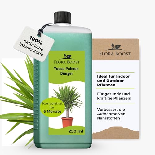 Konfitee Yucca Palmen Dünger Flora Boost 250ml I Für bis zu 50L Gießwasser I Zimmerpflanzen Dünger für Palmlilien I Flüssiger Blatt- & Wurzeldünger I 100% natürlicher Pflanzendünger von Flora Boost