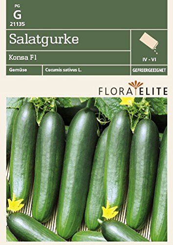 Flora Elite 21135 Salatgurke Konsa F1-Hybride (Gurkensamen) von Flora Elite