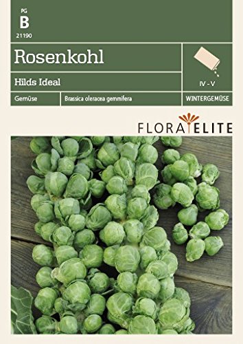 Flora Elite 21190 Rosenkohl Hilds Ideal (Kohlsamen) von Flora Elite