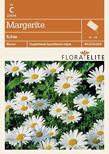 Flora Elite 23434 Margerite Echte (Margeritensamen) von Flora Elite