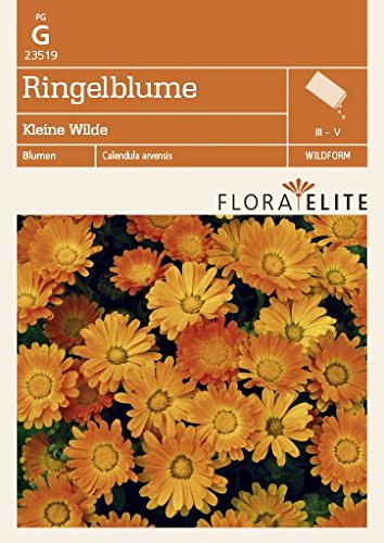 Flora Elite 23519 Ringelblume Kleine Wilde (Ringelblumensamen) von Flora Elite