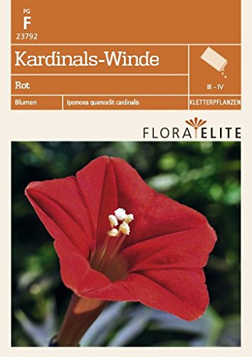 Flora Elite 23792 Kardinals-Winde Rot (Windensamen) von Flora Elite