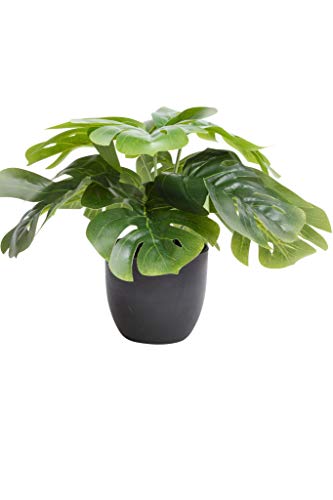 Flora-Seta GmbH Kunstpflanze (Alocasia, Dieffenbachia, Aglaonema, Zebrina, Calathea, Monstera) Höhe 20-30 cm im schwarzen Kunststofftopf (Monstera) von Flora-Seta GmbH