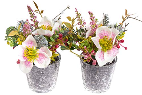 Flora-Seta GmbH künstliches Blumen-Arrangement im Glas (2 Stück) (Creme-Pink, Christrosen) von Flora-Seta GmbH