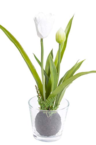 Flora-Seta GmbH künstliches Tulpenarrangement mit Erdballen im Glas (Creme-weiß) von Flora-Seta GmbH