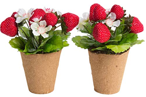 künstliche Erdbeerpflanze mit 6 Erdbeeren im braunen Zellstofftopf (Anzuchttopf) (2 Stück) von Flora-Seta