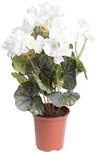 Flora-Seta künstliche Geranie (Geranienbusch) mit 7 Stielen und 3 kleinen und 4 größeren Blütenköpfen im Kunststofftopf (Creme-weiß) von Flora-Seta