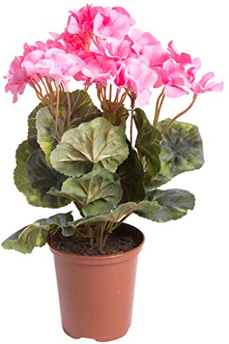 Flora-Seta künstliche Geranie (Geranienbusch) mit 7 Stielen und 3 kleinen und 4 größeren Blütenköpfen im Kunststofftopf (pink) von Flora-Seta