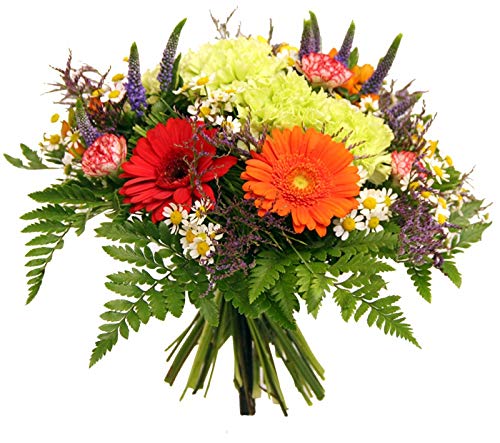 frische Blumen versenden zum Geburtstag - Lieferung in 1-2 Werktage - Blumenstrauß von Flora Trans - Farbspektrum - von Flora Trans
