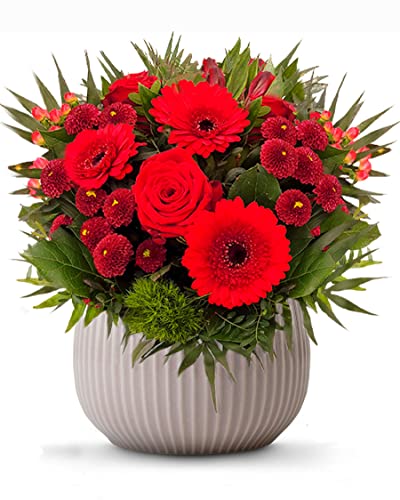 Flora Trans Blumenstrauss - Blumenversand mit Grußkarte - Lieferin in 1-2 Werktage - Frischblumen vom Floristen - Blumen bester Qualität - Blumengeschenk Romantiker von Flora Trans