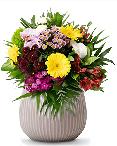 Flora Trans Blumenstrauss - Blumenversand mit Grußkarte - Frischblumen vom Floristen - Blumen bester Qualität - Blumengeschenk globale Flora Lieferung in 1-2 Werktage von Flora Trans