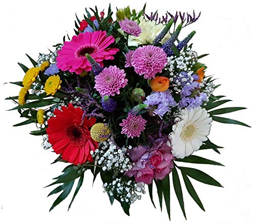 Flora Trans Blumenstrauß zum Muttertag oder einfach mal um Danke zu sagen -Blumenstrauß der Jahreszeit - Lieferung in 1-2 WERKTAGE Flora Trans Blumenstrauß zum Muttertag oder einfach mal um Danke zu sagen -Blumenstrauß der Jahreszeit - Lieferung in 1-2 WERKTAGE von Flora Trans