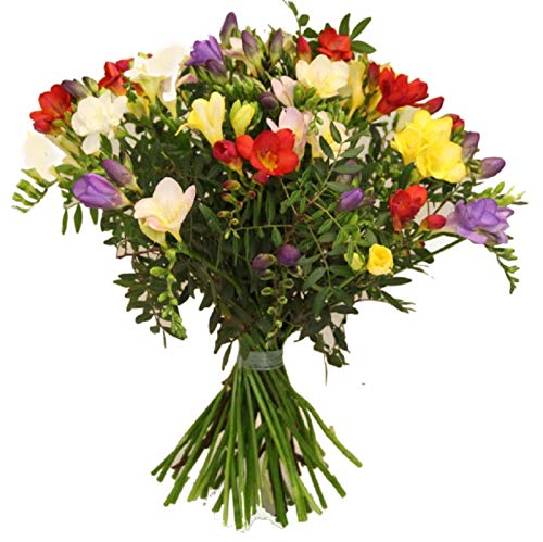 Flora Trans- Blumenstrauß mit frischen Freesien -Blütenduft- zum Geburtstag - Lieferung innerhalb 1-2 Werktage von Flora Trans