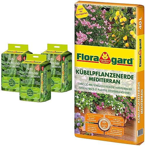 Floragard Aktiv-Grünpflanzen- und Palmenerde 3x20 L • Spezialerde für Palmen & Kübelpflanzenerde mediterran 40 L - Spezialerde für große Kübel, Zitruspflanzen, Oleander, Oliven - auch für Dachgärten von Floragard