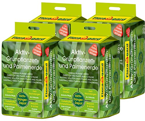 Floragard Aktiv-Grünpflanzen- und Palmenerde 4x20 L • Spezialerde für Palmen, Farne, Ficus, andere Grün- und Zimmerpflanzen • mit 3-Monate-Langzeitdünger • zum Topfen und Umtopfen • 80 L Floragard Aktiv-Grünpflanzen- und Palmenerde 4x20 L • Spezialerde für Palmen, Farne, Ficus, andere Grün- und Zimmerpflanzen • mit 3-Monate-Langzeitdünger • zum Topfen und Umtopfen • 80 L von Floragard