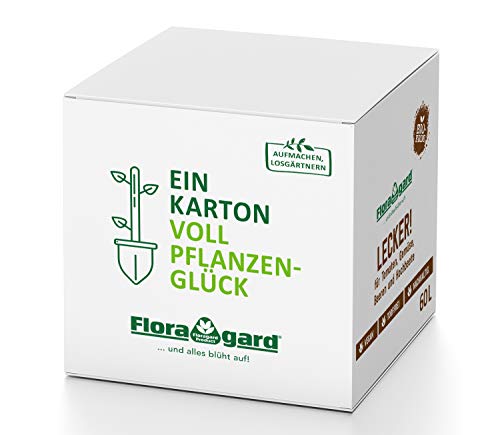 Floragard Bio-Erde Lecker Gemüse-und Hochbeeterde in der Box, 60 Liter von Floragard
