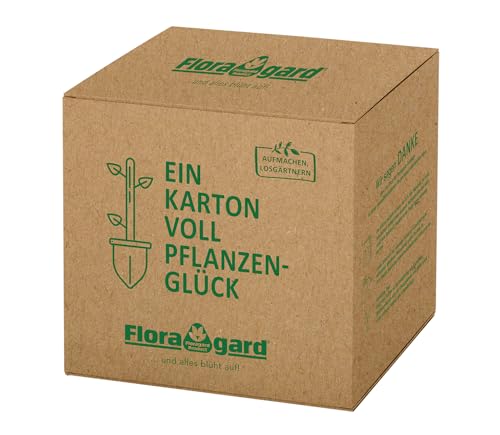 Floragard Pinienrinde fein 2-8 mm in der Box 60 Liter von Floragard