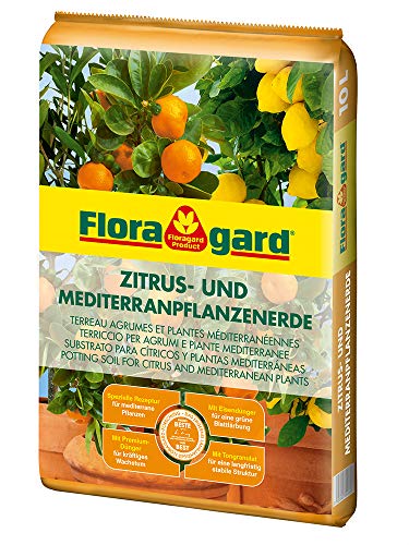 Floragard Zitrus-und Mediterranpflanzenerde 10 Liter, extra Eisen-Dünger für mediterrane Kulturen von Floragard