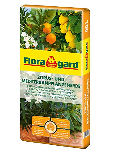 Floragard Zitrus-und Mediterranpflanzenerde 40 Liter - Zitruspflanzenerde - Kübelpflanzenerde mit Premium-Dünger und extra Eisen-Dünger für mediterrane Kulturen von Floragard