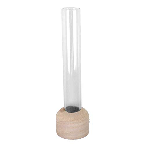 Floral-Direkt Reagenzglas 15,0 x 2,0cm Glas Röhrchen mit Holz Sockel Fuß Ständer von Floral-Direkt