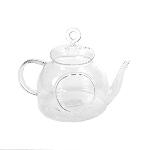 Floral-Direkt Teekanne Windlicht Glas klar L 15cm H 12cm Ø 10cm für Teelichter Dekokanne von Floral-Direkt