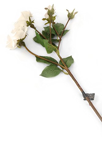 Floral Elegance Künstliche 87 cm Single Stiel Elfenbeinfarben Spray Roses X Luxuriöse 12 – künstliche Seide Blume Range von Floral Elegance (I-Fulfilment)