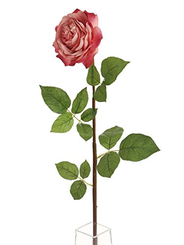 Floral Elegance Künstliche 92 cm Single Stiel Komplett geöffnet Dusky Pink Roses X 6 – Luxuriöse Künstliche Seide Blume Range von Floral Elegance (I-Fulfilment)