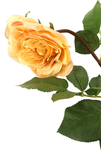 Floral Elegance Künstliche 92 cm Single Stiel Komplett geöffnet Golden Gelb und Rosa Trinkgeld Roses X 6 – Luxuriöse Künstliche Seide Blume Range von Floral Elegance (I-Fulfilment)