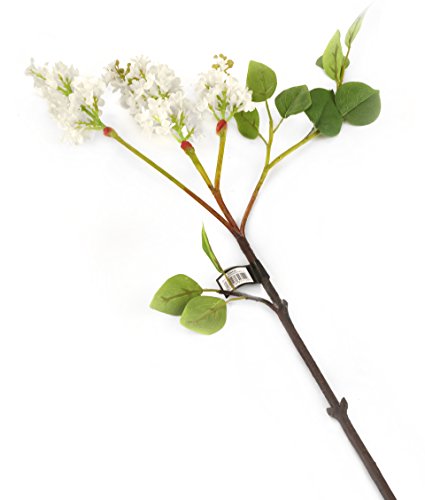 Floral Elegance Künstliche Blumen, 76 cm, 1 Stiel, Weiß, 12 Stück von Floral Elegance