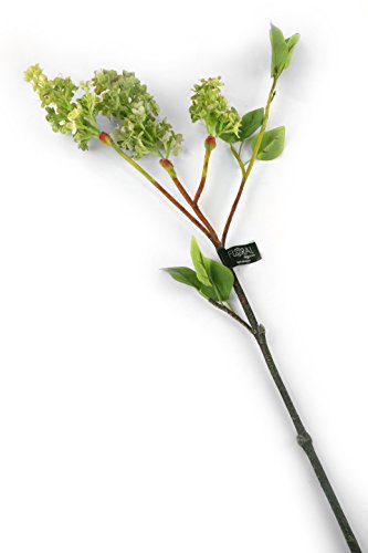 Floral Elegance künstlichen 76 cm Single Stem grün flieder Blüten X 12 – Luxus Silk Flower Range von Floral Elegance (I-Fulfilment)