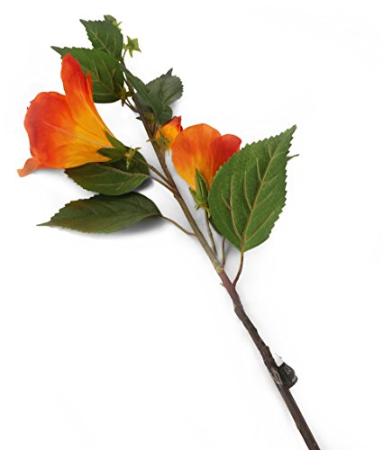 Floral Elegance Künstliche Hibiskusblüten mit einem Stiel, 92 cm, Orange, 6 Stück von Floral Elegance