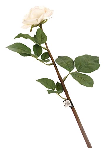 Floral Elegance künstlichen 92 cm Single Stem komplett geöffnet, elfenbeinfarben und rosa Trinkgeld Rosen x 12 – Luxus Silk Flower Range von Floral Elegance (I-Fulfilment)