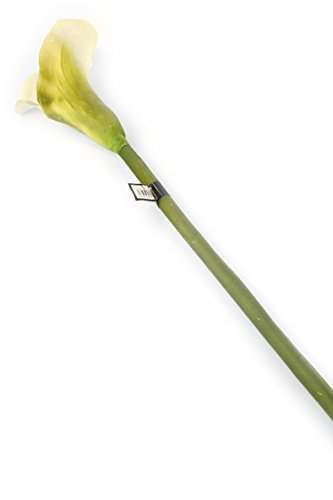 Floral Elegance künstlichen 94 cm Single Stem Creme Calla Lilies X 12 – Luxus Silk Flower Range von Floral Elegance (I-Fulfilment)