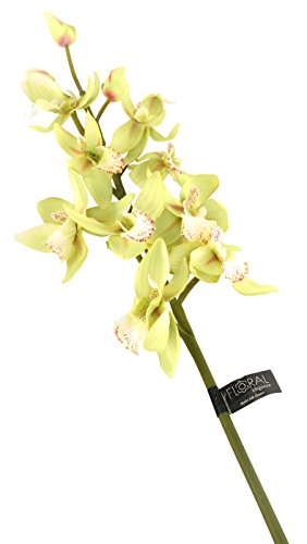 Künstliche Cymbidium-Orchidee von Floral Elegance, 84 cm, 1 Stiel, Blume, Polyester, grün, Dozen von Floral Elegance (I-Fulfilment)