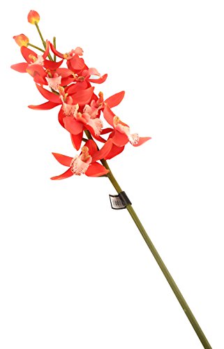 Künstliche Cymbidium-Orchidee von Floral Elegance, 84 cm, 1 Stiel, Blume, Polyester, korallenrot, Dozen von Floral Elegance (I-Fulfilment)