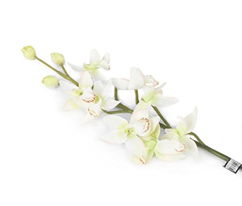 Künstliche Cymbidium-Orchidee von Floral Elegance, 84 cm, 1 Stiel, Blume, Polyester, weiß/grün, Dozen von Floral Elegance (I-Fulfilment)