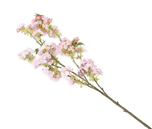 Floral Elegance (I-Fulfilment) 80 cm künstliche von Floral Elegance