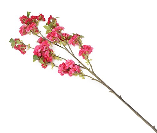 Floral Elegance (I-Fulfilment) 80 cm künstliche von Floral Elegance