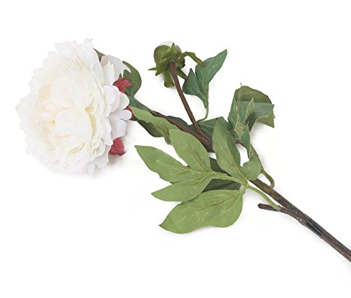 Floral Elegance Künstliche 80 cm Single Stiel Pfingstrose Blume PPPP von Floral Elegance