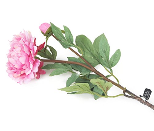 Floral Elegance Künstliche 80 cm Single Stiel Pfingstrose Blume PPPP von Floral Elegance