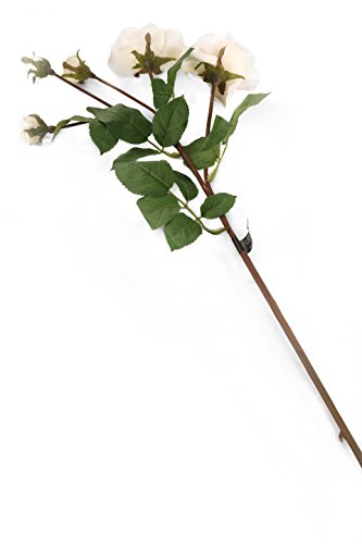Floral Elegance Künstliche Rosen, 87 cm, Elfenbeinfarben und Rosa, 6 Stück von Floral Elegance