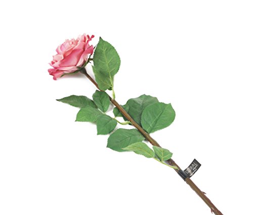 Floral Elegance Künstliche Rosen, 92 cm, mit einem Stiel, vollständig geöffnet, altrosa, 12 Stück von Floral Elegance