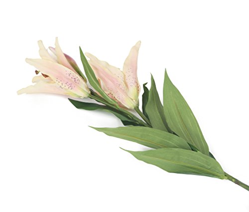 Floral Elegance Künstliche Orientalische Lilien, 87 cm, cremefarben und hellrosa, 12 Stück von Floral Elegance