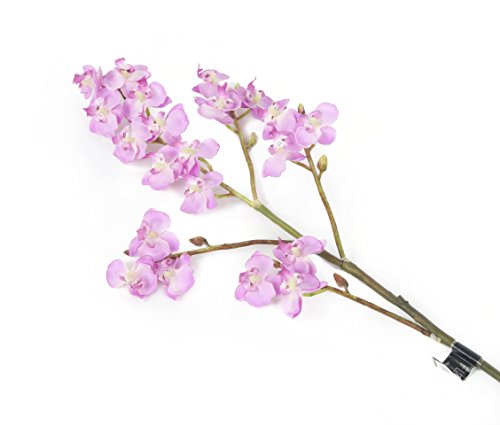 Floral Elegance Miniatur-Phalaenopsis-Orchideen, Kunstblumen, Seide, 69 cm, Violett, 6 Stück von Floral Elegance