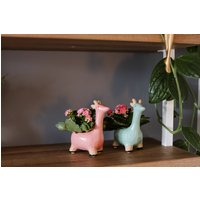 Süße Tier-Blumentöpfe Giraffe Sukkulenten Pflanzer Mini Pflanzgefäß Geschenk Für Frau Geschenke Mädchen Babyparty Süße Tier-Blumentöpfe Giraffe Sukkulenten Pflanzer Mini Pflanzgefäß Geschenk Für Frau Geschenke Mädchen Babyparty von FloralVibesLLC