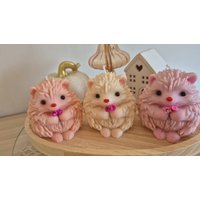 Niedliche Igelkerze Mit Glixia Blümchen Handbemalt Dekoration Herbst Winter Tierkerze Deko Hedgedog Candle von FloraleKerzenideen