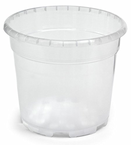 Floralo Blumentopf, Orchideentopf Durchmesser 17 cm, transparent, 17x17x16 cm, 2.3 L, 726 Floralo Blumentopf, Orchideentopf Durchmesser 17 cm, transparent, 17x17x16 cm, 2.3 L, 726 von Floralo e. K.